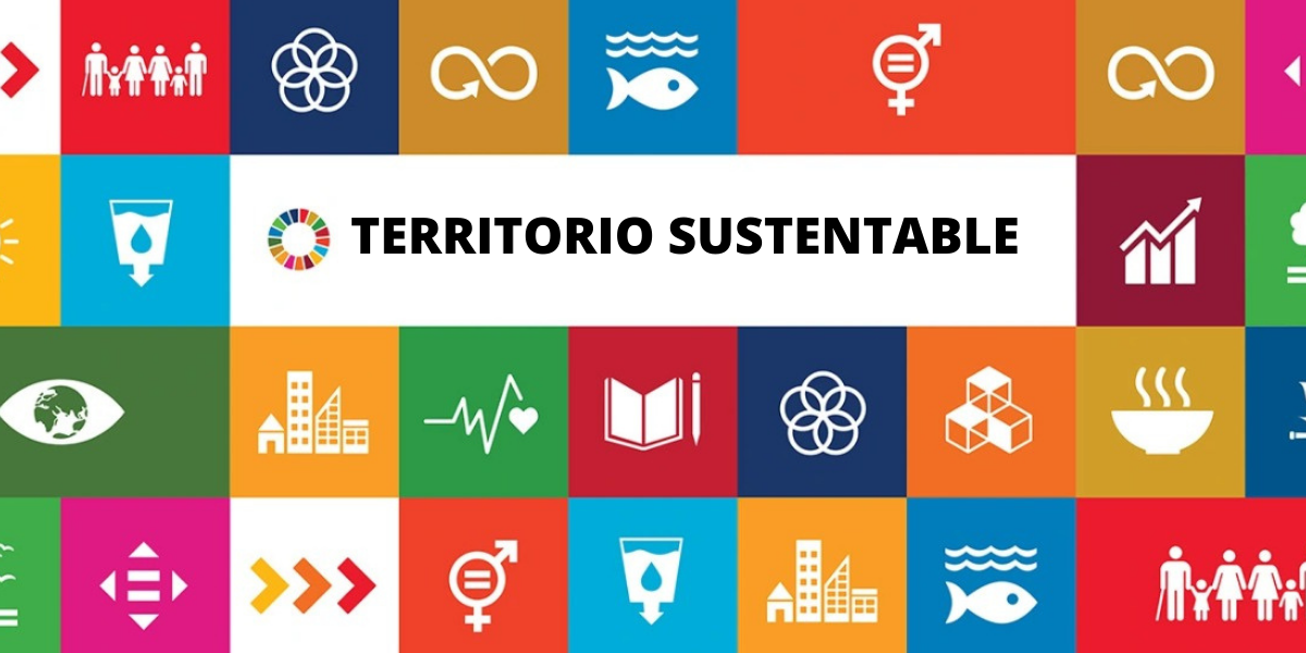 Packaging Sostenible y Sustentabilidad Territorial: Un Camino Hacia el Futuro