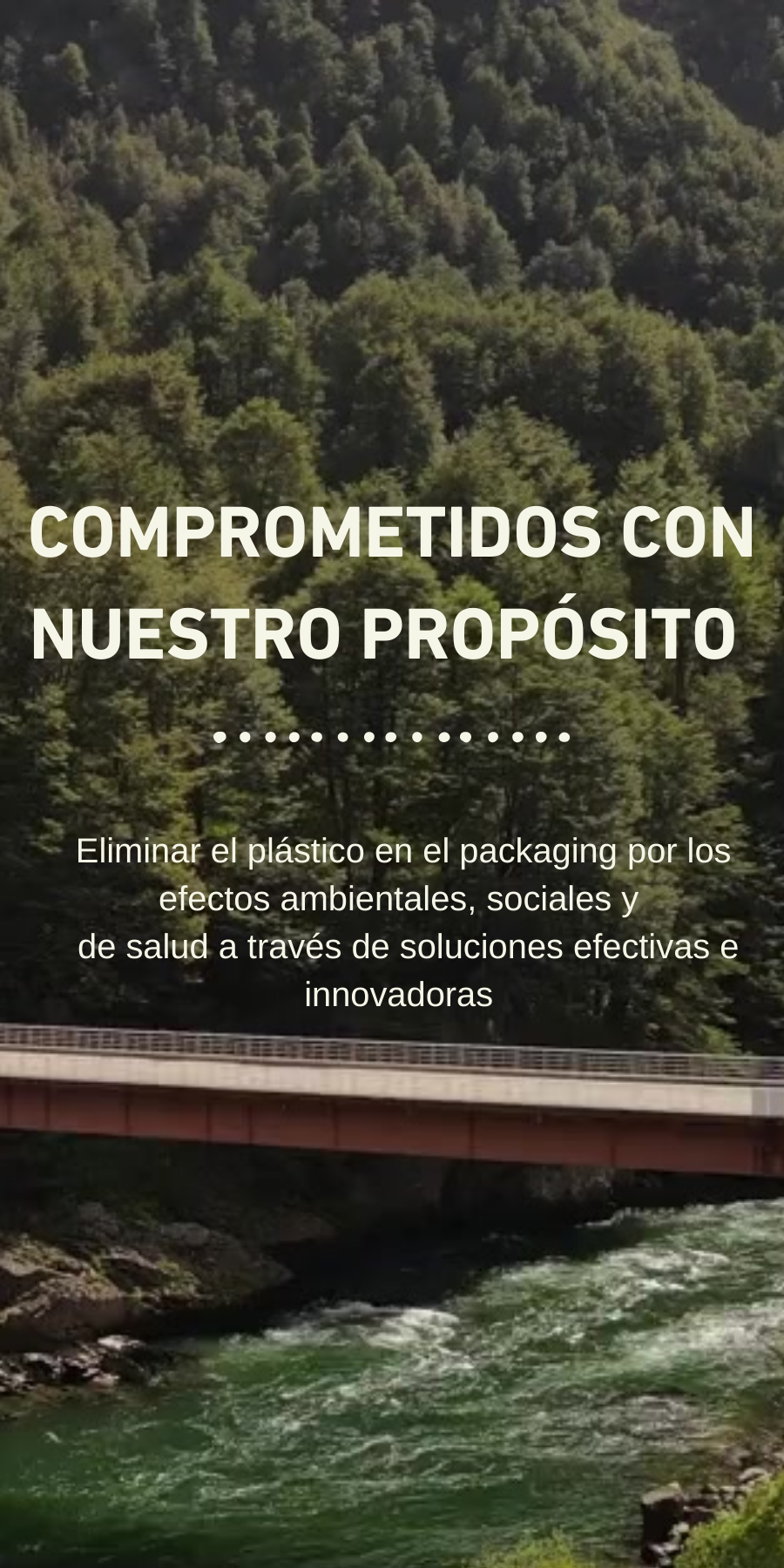 Empaques sustentables para alimentos - Tienda Grupo WOW