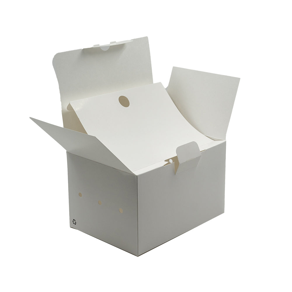 Caja Rectangular para Sandwich y Pastelería Compostable | 200 Unidades